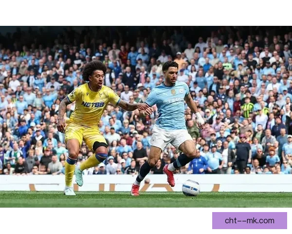 2025年夏季转会水晶宫成功引进法甲中卫新星实力提升